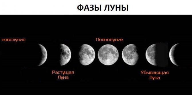 фазы луны