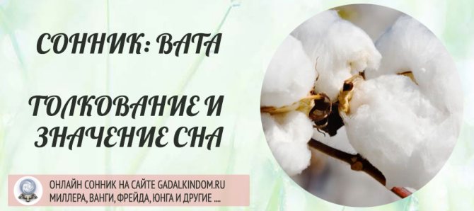 сонник вата